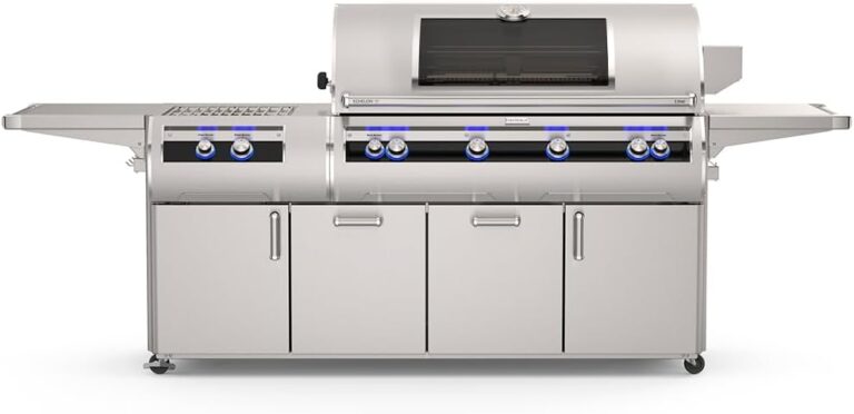 Image 1 of Fire Magic E1060s worth it