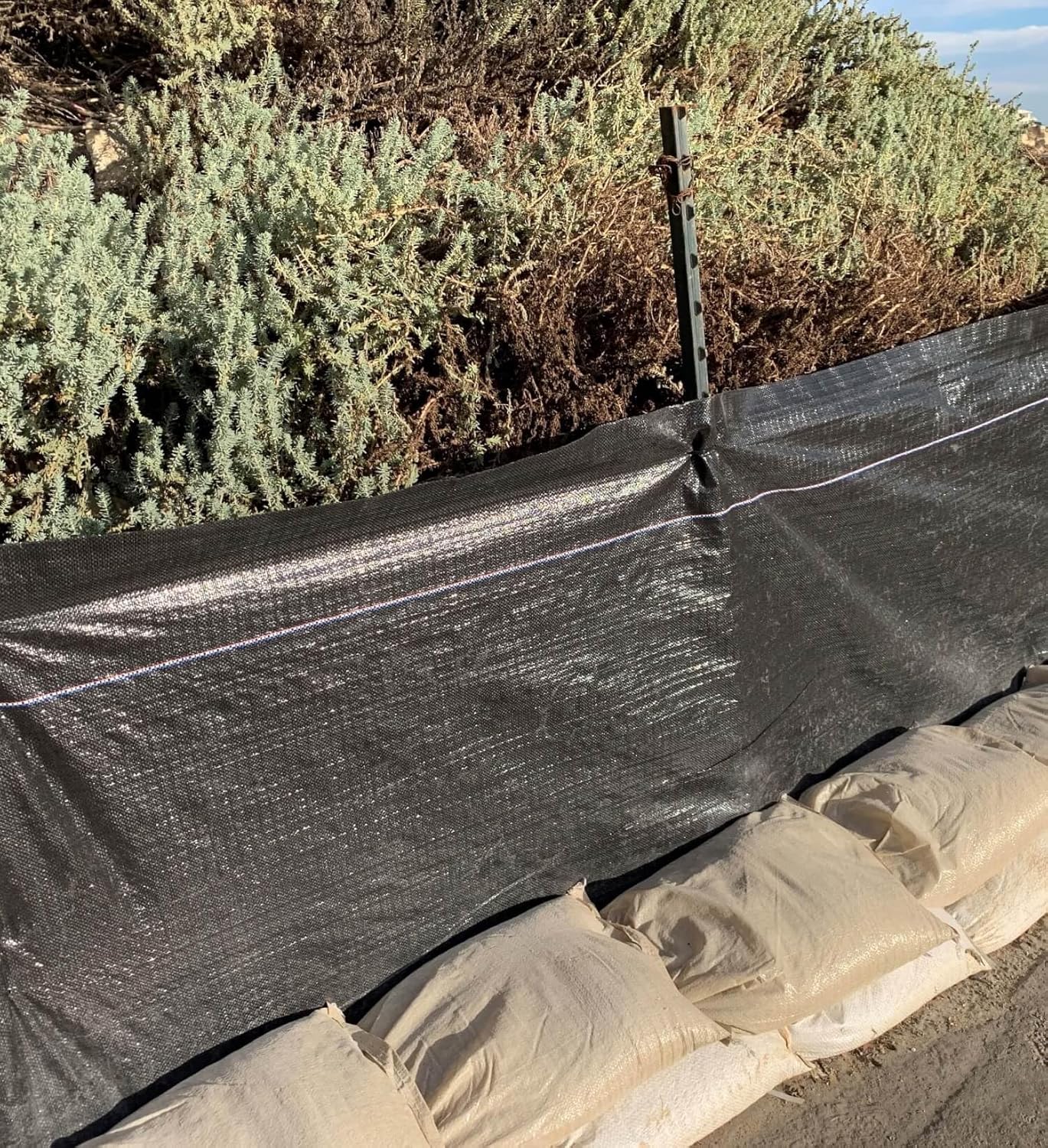 buy Sandbaggy 10 ft T-posts,Sandbaggy T-posts worth buying,best 10 ft steel fence posts,Sandbaggy T-posts pros cons,Sandbaggy vs other T-posts,should I buy Sandbaggy T-posts performance testing and real-world results