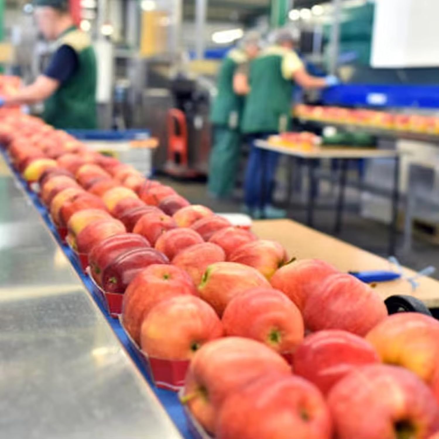 buy commercial apple juice production line,commercial apple juice machine worth it,industrial apple juice press pros cons,best apple juice production equipment,commercial juice line vs alternatives,should I buy an industrial juice centrifuge unboxing and complete package contents