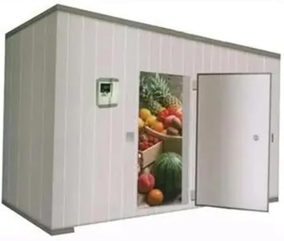 buy commercial walk-in freezer solar,commercial walk-in freezer worth it,solar powered cold room pros cons,best walk-in freezer for off-grid,should I buy a solar cold room,Ibuz.in walk-in freezer honest performance testing and real-world results