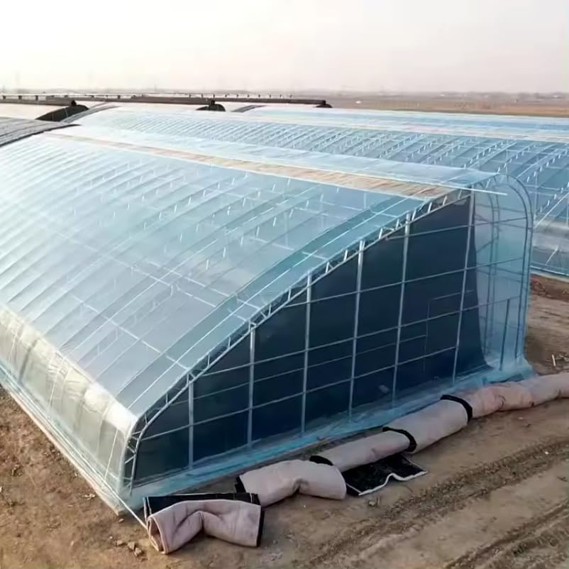 buy double arch greenhouse,double arch greenhouse worth it,best agricultural greenhouse,double arch greenhouse pros cons,should I buy a double arch greenhouse,Mindrain greenhouse honest - detailed features and technical specifications