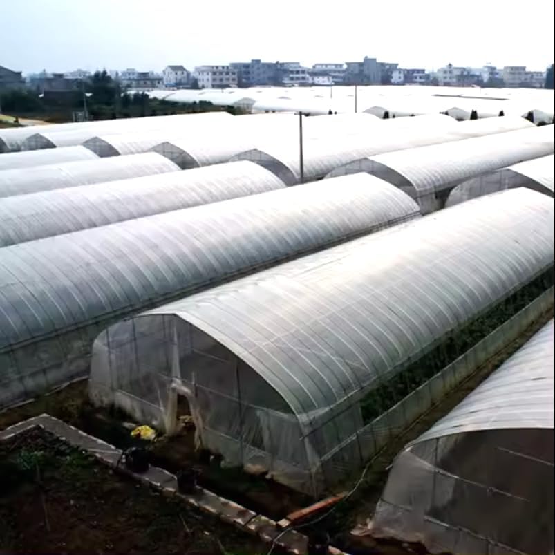 buy double arch greenhouse,double arch greenhouse worth it,best agricultural greenhouse,double arch greenhouse pros cons,should I buy a double arch greenhouse,Mindrain greenhouse honest unboxing and complete package contents