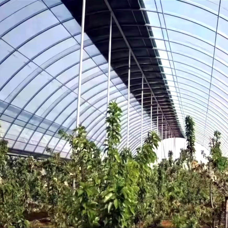 buy double arch greenhouse,double arch greenhouse worth it,best agricultural greenhouse,double arch greenhouse pros cons,should I buy a double arch greenhouse,Mindrain greenhouse honest performance testing and real-world results