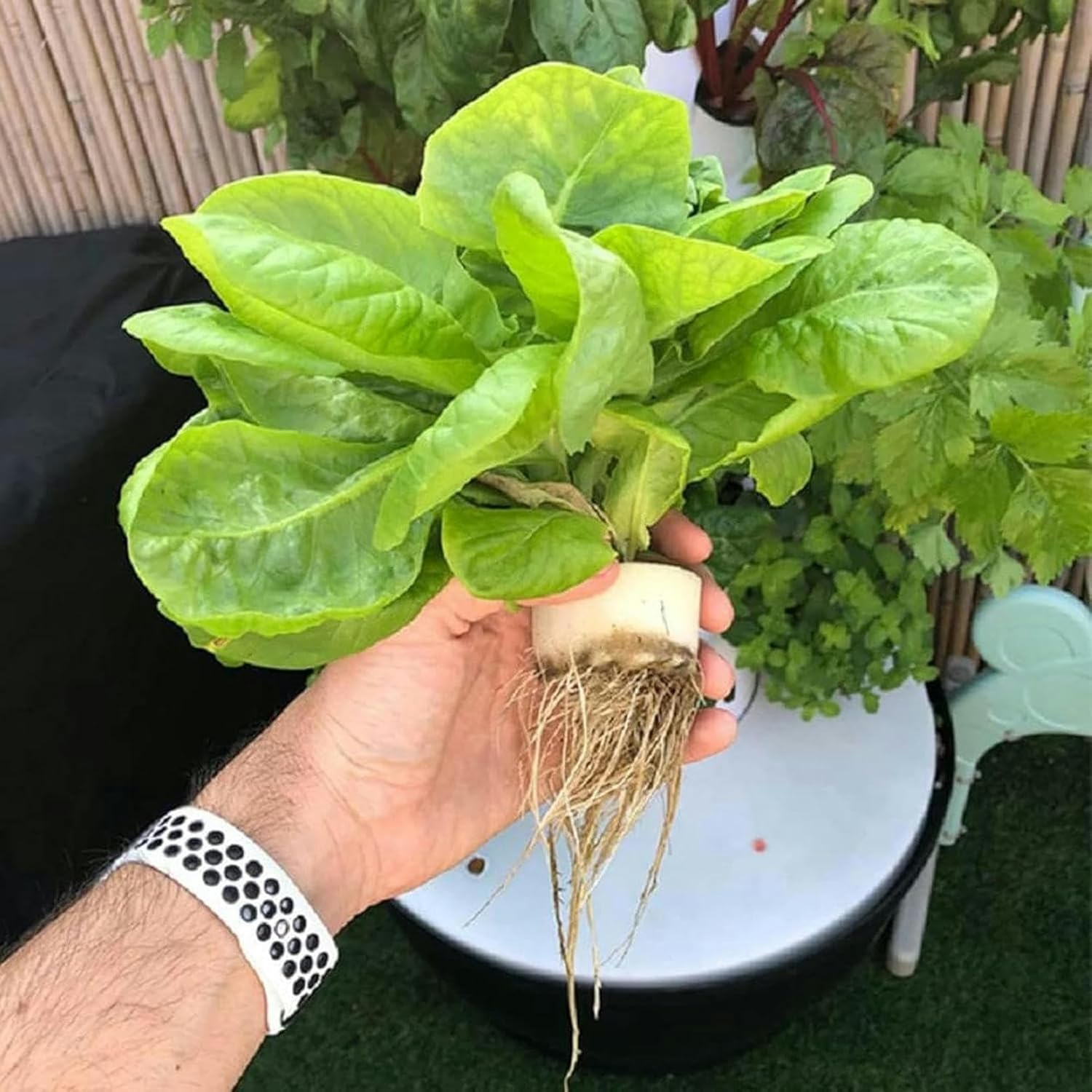 buy hydroponic tower system,hydroponic tower pros cons,aeroponic tower worth buying,best vertical hydroponic system,should I buy hydroponic tower,hydroponic tower vs alternatives unboxing and complete package contents