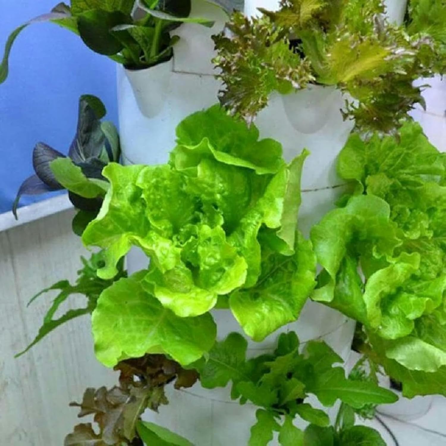 buy hydroponic tower system,hydroponic tower pros cons,aeroponic tower worth buying,best vertical hydroponic system,should I buy hydroponic tower,hydroponic tower vs alternatives performance testing and real-world results