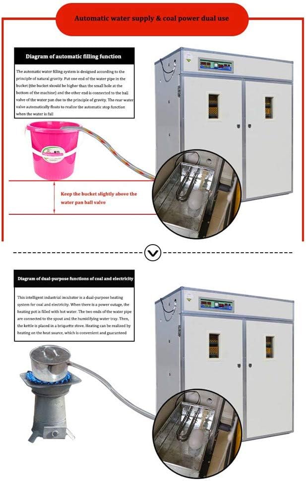 egg incubator automatic turning,should I buy egg incubator automatic turning,egg incubator automatic turning pros cons,best egg incubator for hatching,egg incubator automatic turning worth buying,egg incubator automatic turning vs manual performance testing and real-world results