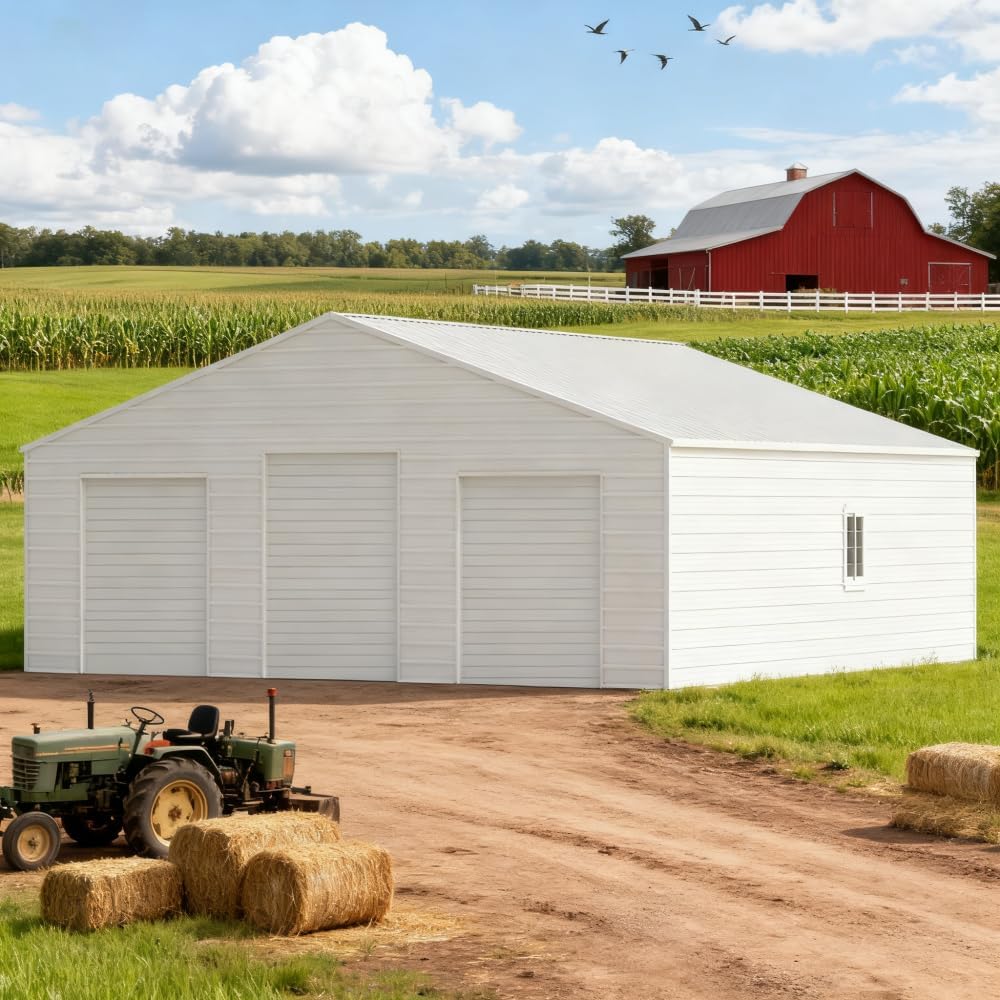 metal barn building worth buying,should I buy a metal barn,metal barn building pros cons,metal barn vs pole barn,best metal building for storage,metal barn building honest opinion unboxing and complete package contents